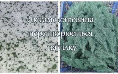 Как именно сырье превращается в литую веточку. Как именно сырье превращается в литую веточку.