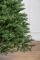 Ялинка лита Альпійська 2,5 м зелена преміум