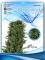 Гірлянда лита Ковалівська зелена 2,5 м