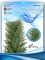 Гірлянда лита Віденська зелена 2,5 м