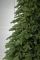 Лита Лапландська ялинка блакитна 2,3 м