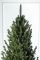 Лита Віденська ялинка зелена 2,1 м