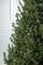 Лита Віденська ялинка зелена 2,5 м Лита Віденська ялинка зелена 2,5 м