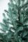 Лита Віденська ялинка в горщику 0,7 м блакитна