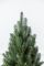 Литая Лапландская ель в горшке 1,1 м зеленая Литая Лапландская ель в горшке 1,1 м зеленая