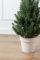 Литая Лапландская ель в горшке 0,7 м зеленая Литая Лапландская ель в горшке 0,7 м зеленая