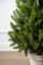 Литая Лапландская ель в горшке 1,1 м Весенняя