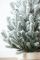 Лита Віденська ялинка в горщику 0,7 м засніжена