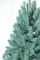Лита Лапландська ялинка блакитна 2,3 м